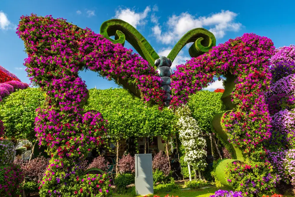 Miracle Garden Dubai