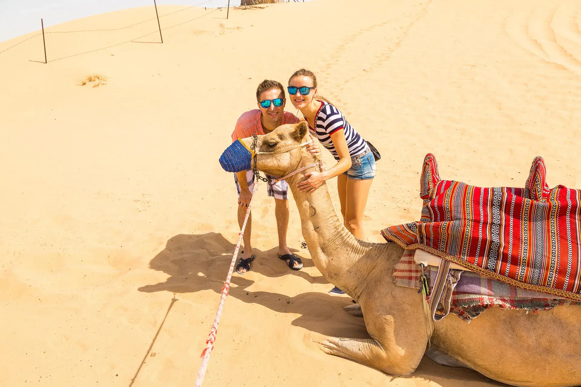 Dubai Winter Wonders – Seasonal Special (4 Nights / 5 Days) - Photo 4