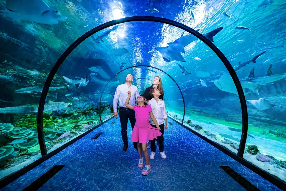 Dubai Aquarium and Underwater Zoo - Photo 3
